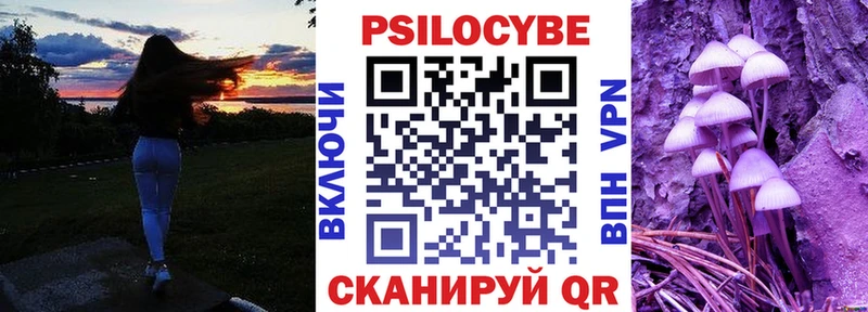 Псилоцибиновые грибы GOLDEN TEACHER  наркота  Курчатов 